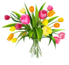 vase-of-flowers-clipart-Vase_with_Tulips_PNG_Clipart.png